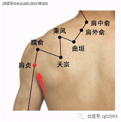 肩ㄩˊ穴|肩髎:命名,穴位解剖,穴位找法,標準定位,取法,操作方法,刺法,灸法,。